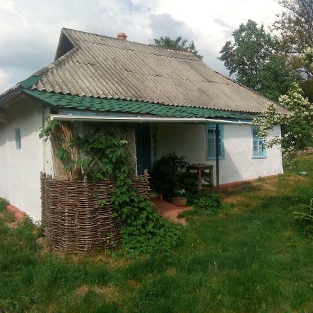 Дибинецькі Карпати Dybintsy Eksteriør bilde