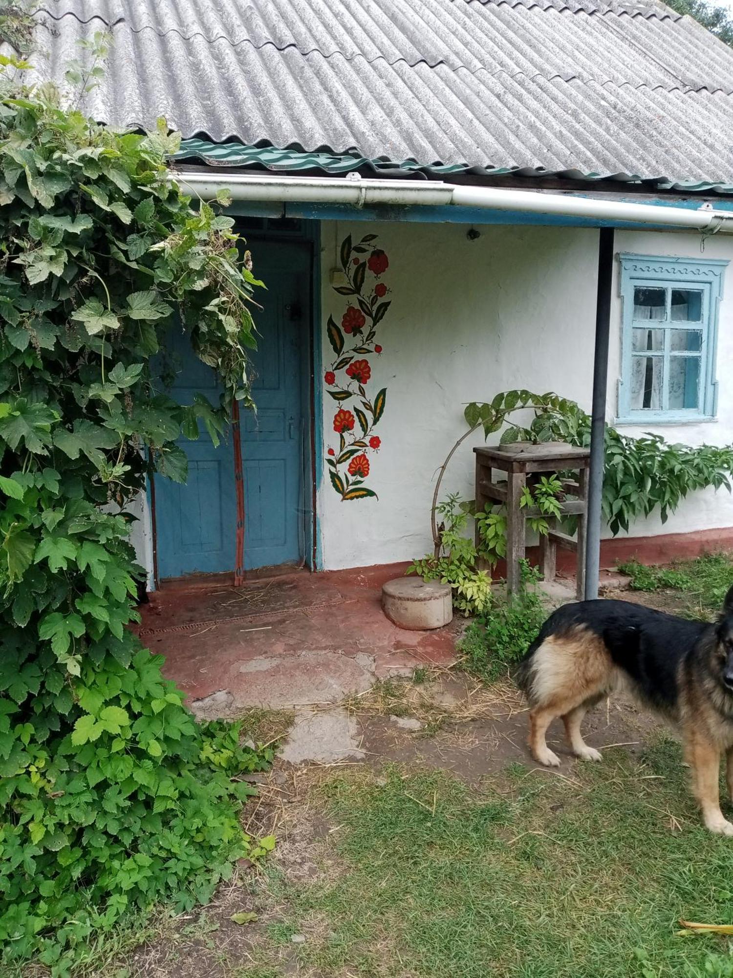 Дибинецькі Карпати Dybintsy Eksteriør bilde